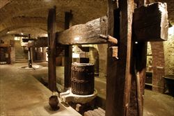 Un magnifico torchio nel museo del vino a Torgiano.