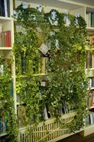Libreria arricchita di Hedera.