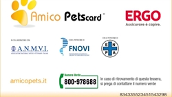 La nuova tessera sanitaria e assicurativa per animali domestici.