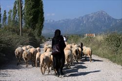 Pastori nelle campagne del nord dell'Albania (foto: studio Nenshati).