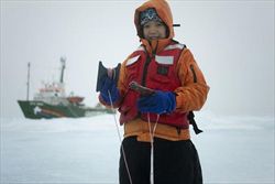 La nave di Greenpeace tra i ghiacci dell'Artico.