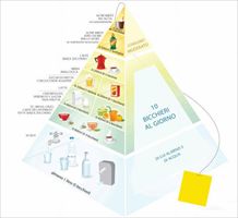 La piramide dell'idratazione indica come bere in modo corretto (Fonte Istituto Lipton).