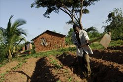 Un piccolo coltivatore tanzaniano (Foto Oxfam).
