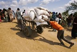 Distribuzione degli aiuti umanitari in Somalia. Foto: Getty images.