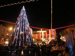 L'albero nella piazza di fronte la Basilica della Natività durante le celebrazioni del Natale 2011.