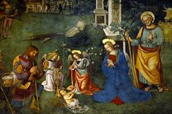 Natività, Pinturicchio (1502).