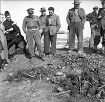 Ritrovamento dei resti di alcune vittime delle foibe nella Regione del Carso (foto Contrasto)