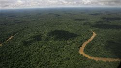 Una veduta della foresta amazzonica. Foto di Dolores Ochoa/Ap.  