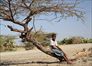 Samburu, il popolo che ama il bello