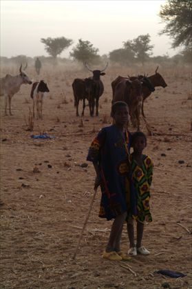 Lvia: reportage dal Sahel