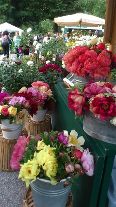 Milano si veste di fiori