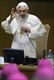Il Papa: vescovi collaborino con società 