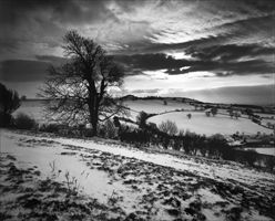 Somerset, Gran Bretagna, 1991 © Don McCullin (Contact Press Images)