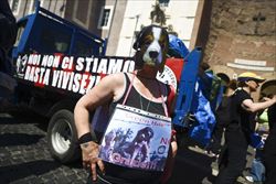 Un momento della manifestazione nazionale contro Green Hill e la vivisezione sugli animali,a Roma (Ansa).
