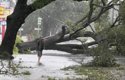 New Orleans, ancora una volta flagellata dall'uragano  (foto Reuters)