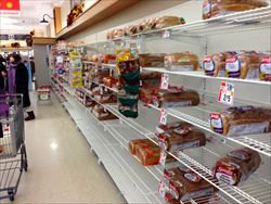 Supermercati presi d'assalto a Boston per paura della tempesta "Nemo". Sotto: la città coperta da almeno mezzo metro di neve (fotografie di Stefano Salimbeni).