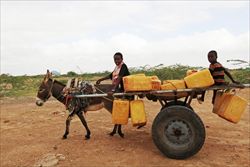 Ragazzi tornano al loro villaggio con l'acqua a Dhusamareeb, nel centro della Somalia (Reuters).