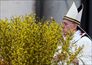 Papa Francesco, Pasqua a San Pietro