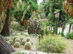 I Giardini botanici Hambury di Ventimiglia.