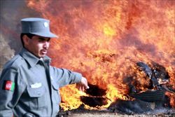 La polizia aghana brucia ingenti quantità di oppio sequestrate nell'area di Herat (foto Ansa). 