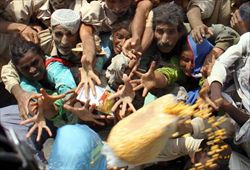 Distribuzione del cibo agli alluvionati del Pakistan (foto Ansa).