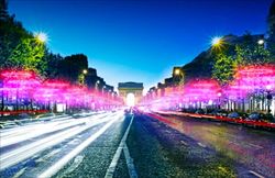 Gli alberi degli Champs Elysées illuminati dai cerchi fluorescenti. 