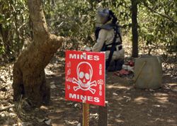 Uno sminatore all'opera. Le mine antipersona, così come le munizioni (bombs) lanciate o sparate dentro un contenitore (cluster) saturano aree normalmente abitate da civili. Colpiscono soprattutto donne, bambini e contadini. Foto: Reuters,.   