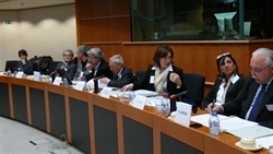 La delegazione italo-francese durante l'audizione al PArlamento Europeo.