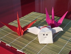 Esempi di origami.
