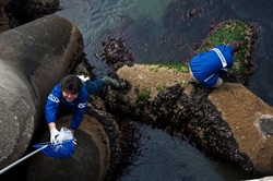 A Fukushima l'organizzazione Greenpeace lavora al fianco delle comunità locali di pescatori per raccogliere esemplari di fauna marina lungo la costa e registrare i livelli di contaminazione.