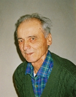 Stefano Rodighiero