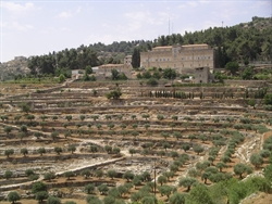 La Casa salesiana di Cremisan, tra Gerusalemme e Betlemme.