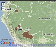 Una mappa tratta da Google Maps dove sono indicate le zone dell'Amazzonia peruviana che nascondono alcune tribù di indigeni ancora "incontattati".