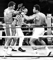 30 ottobre 1974: il campione del mondo in carica dei pesi massimi, lo statunitense Muhammad Alì, durante lo storico combattimento con il connazionale George Foreman, a Kinshasa, nel Congo (foto Ansa).