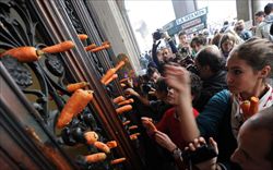 Gli studenti lanciano carote contro la sede del Ministero (Ansa).