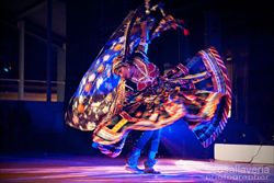 Durante il festival si terranno esibizioni e stage di danza. Nella foto, ballerina di Kalbeliya. 