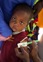 La visita a un bambino per verificare lo stato di malnutrizione in Sahel, durante la recente siccità (Foto Intersos).