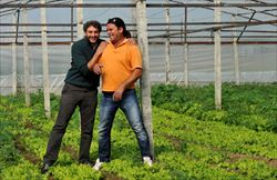 Mauro Platè (a sinistra) con Agim Dini, un albanese tornato in patria, dove ora coltiva prodotti bio. (foto Leto) 