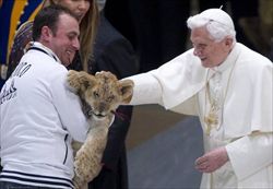 Benedetto XVI mentre accarezza un cucciolo di tigre in aula Nervi (Ansa).