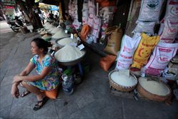 Una donna davanti a una bottega di alimentari piena di sacchi di riso in una strada di Hanoi, la capitale del Vietnam. Foto di Luong Thai Linh/Epa/Ansa