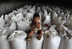 Un deposito di riso nell'area amazzonica della Bolivia. Foto di David Mercado/Reuters