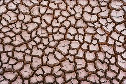 La siccità  un problema ambietale sempre più diffuso (foto Corbis).