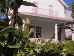 La casa del 1910 dove Amy vive a Washington, ristruttarandola insieme col marito.