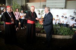 l cardinali Angelo Scola ed Ennio Antonelli ricevono dal Consigliere per gli Affari turistici dell’Ambasciata di Israele, Tzvi Lotan, una pianticella d'ulivo (foto Tosatto)