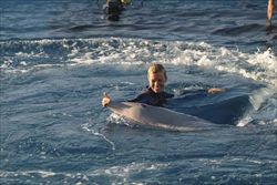 Donatella Bianchi gioca con un delfino 