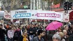 La manifestazione contro la legge sulle nozze gay e sull'adozione da parti di omosessuali svolatasi a Parigi domenica 13 gennaio. 