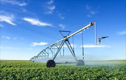 Altro sistema d'irrigazione in agricoltura